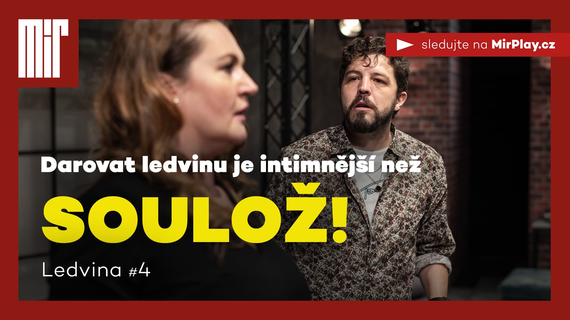 ledvina-4.JPEG ledvina-4.JPEG